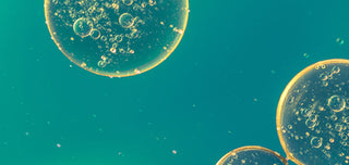 Autophagie wann setzt sie ein