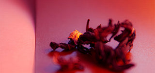 Hibiskus Tee