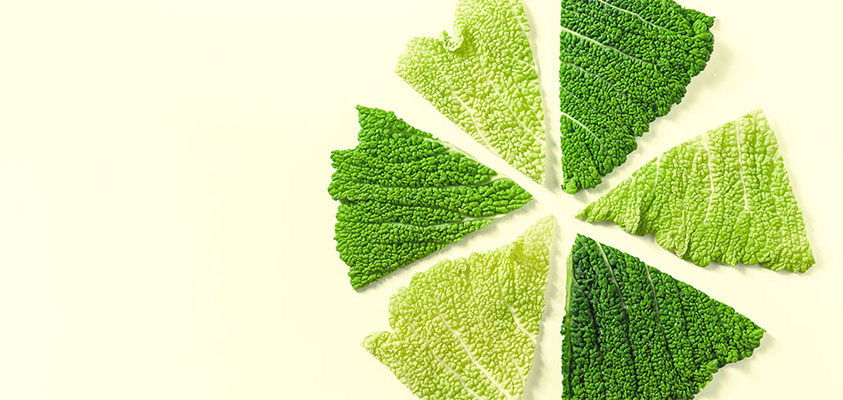 Der große ProLon® Fastencheck: Fasten beliebter denn je? – ProLon® Germany